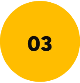 dot-03 1